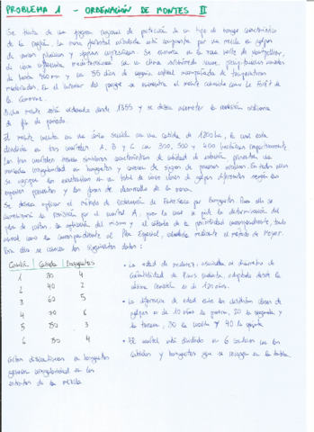 Problema-1-Ordenacion-de-Montes-II.pdf