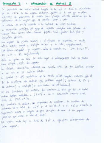 Problema-2-Ordenacion-de-Montes-II.pdf
