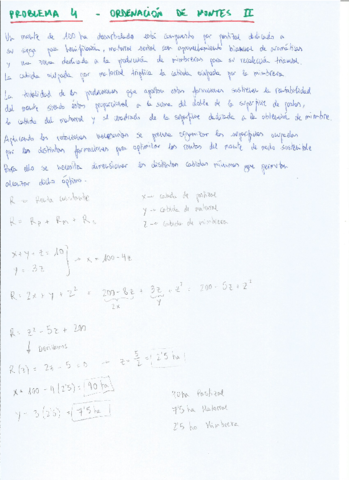 Problema-4-Ordenacion-de-Montes-II.pdf