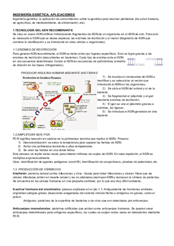 APLICACIONES-DE-LA-ING.pdf