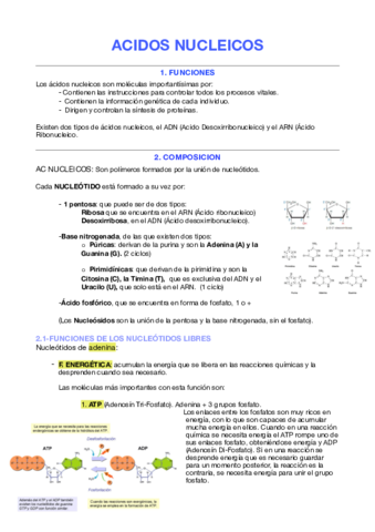 AC-NUCLEICO.pdf