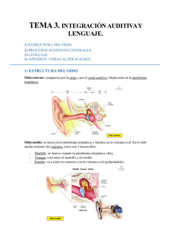TEMA 3. Integración auditiva y lenguaje..pdf
