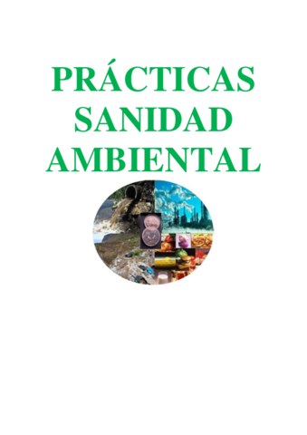 PRACTICAS INFORME PDF.pdf