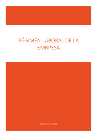 regimen-laboral-de-la-empresa.pdf