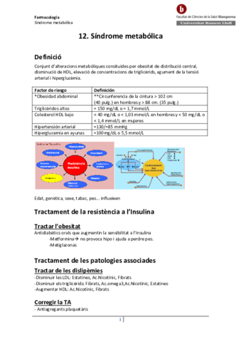 12-Sindrome-metabolica.pdf