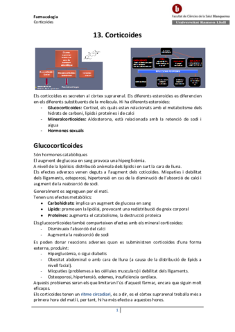 13-Corticoides.pdf