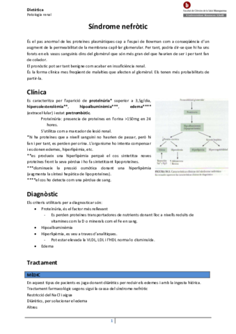 2-Patologia-renal.pdf