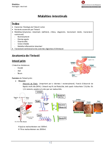 10-Malalties-intestinals.pdf