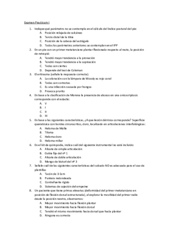 Examen-Practicum-I.pdf