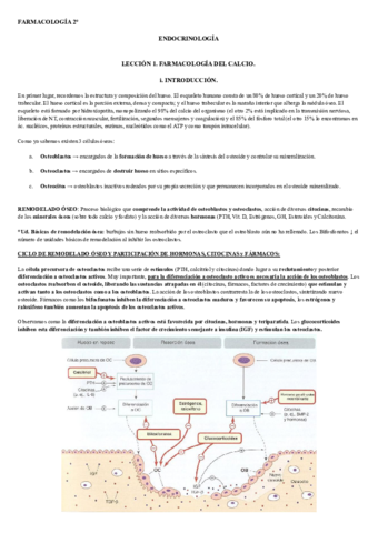 Full-Endocrino.pdf