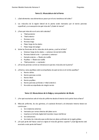 Preguntas-miembro-inferior.pdf