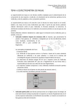 masas final.pdf