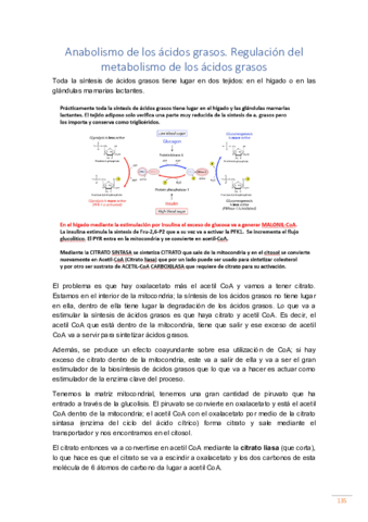 tema-11.pdf