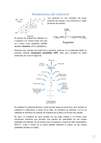 tema-12.pdf