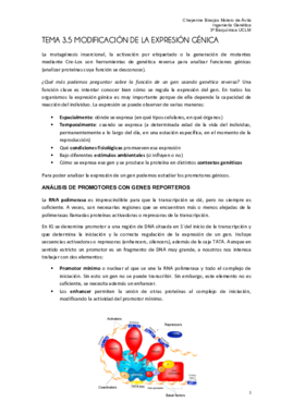 Tema 3.5 ingeneiria FINAL.pdf
