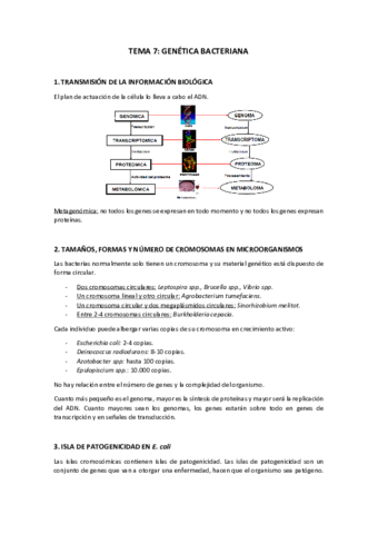Tema-7.pdf