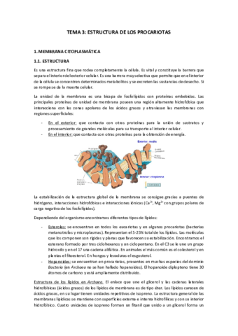Tema-3.pdf
