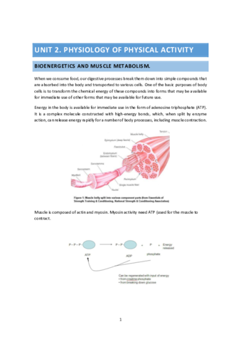 2-Sport-and-physiology.pdf
