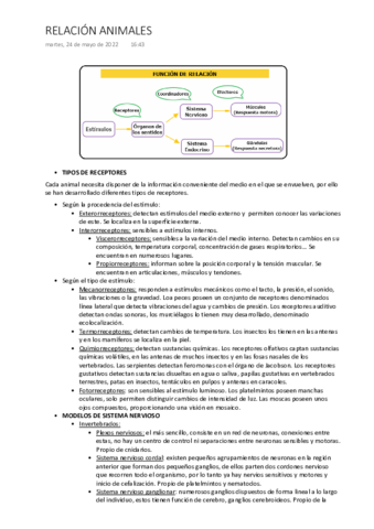 RELACION-ANIMALES.pdf