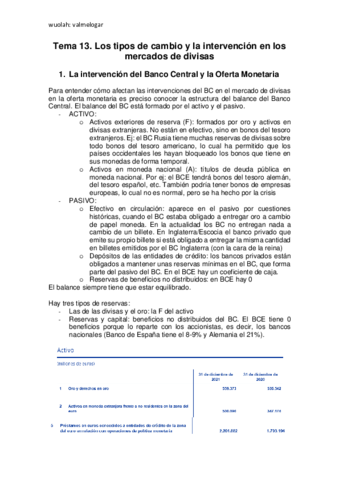 Tema-13.pdf