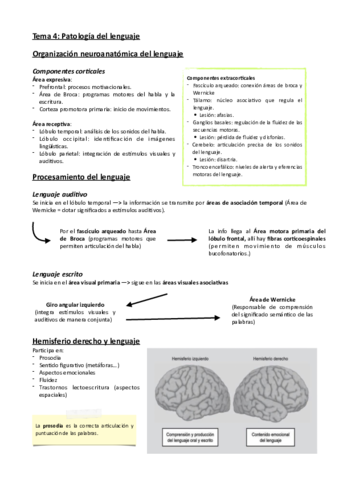 Tema-4-Patologia-del-lenguaje.pdf
