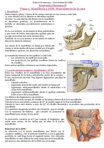Tema-5-Mandibula-ATM-Musculatura-facial