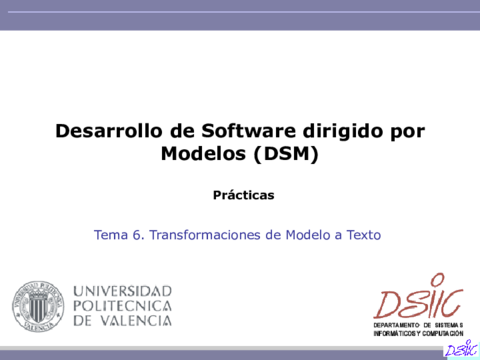 Practia-5-DSM.pdf