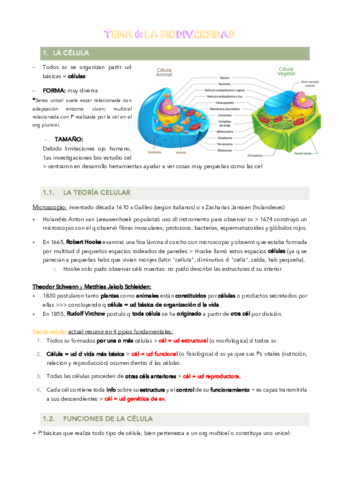 T6-la-celula.pdf