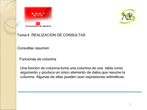 Consultas-resumen-I.pdf