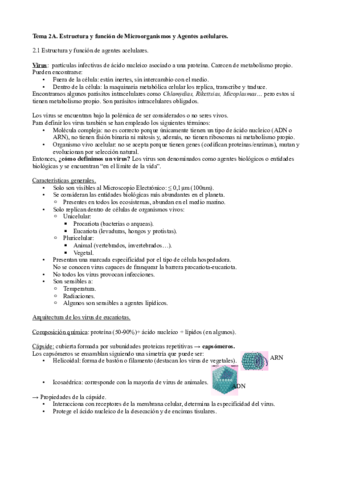 Tema-2A.pdf