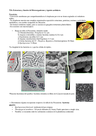 Tema-2B.pdf