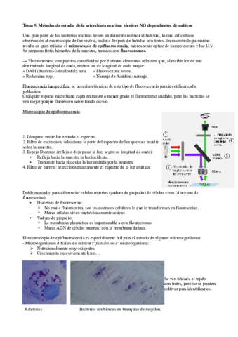Tema-5.pdf