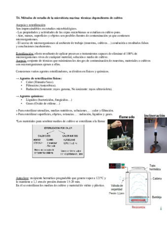 Tema-4.pdf