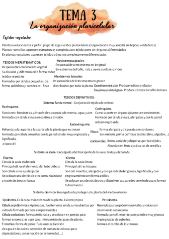 bio-3-3.pdf