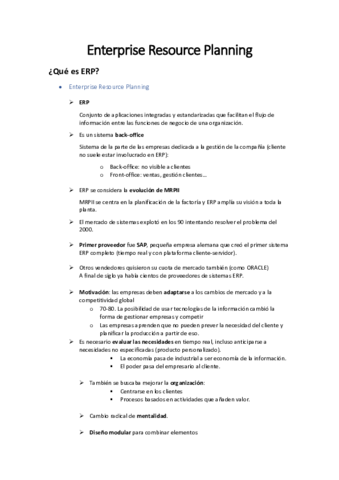 Resumen-ERP.pdf