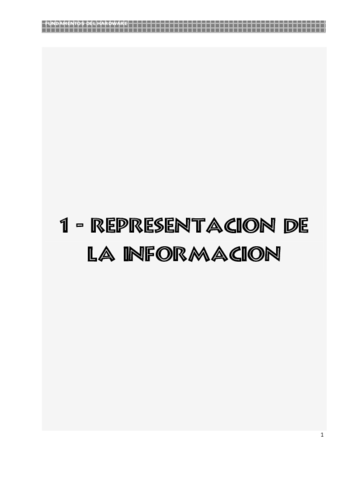 1-Representaciondelainformacion.pdf