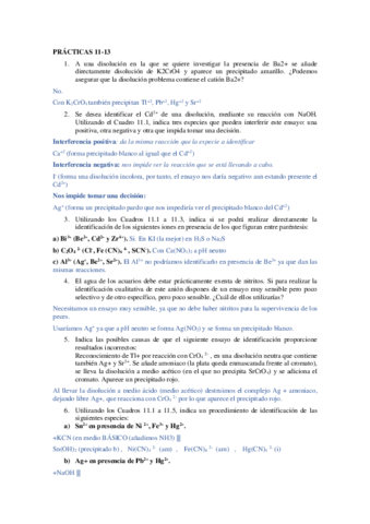 seminario-practicas-11-13.pdf