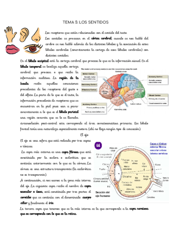 Organografia-TEMA-5.pdf