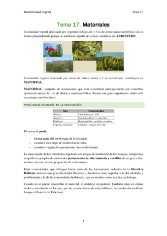 Biodiversidad-vegetal-Tema-17.pdf