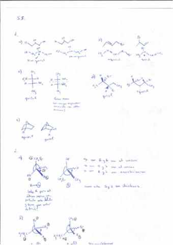 seminario-tema-5.pdf