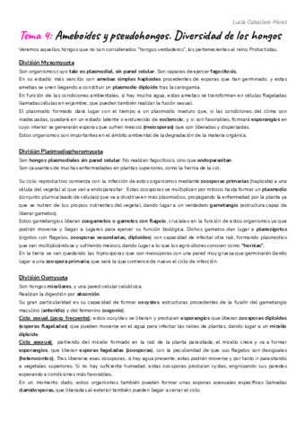 Tema-4-Ameboides-y-pseudohongos.pdf