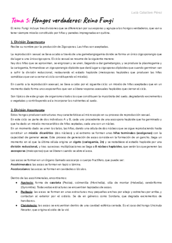 Tema-5-Hongos-verdaderos.pdf