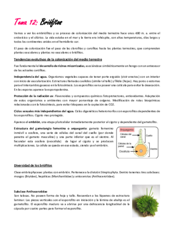 Tema-12-briofitos.pdf