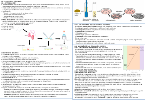 BMC-TEMA-10-11-12.pdf