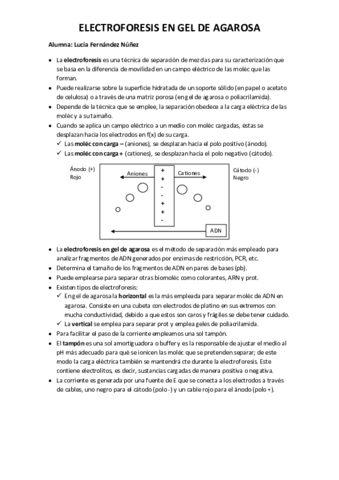 electroforesis-teoricopractico.pdf