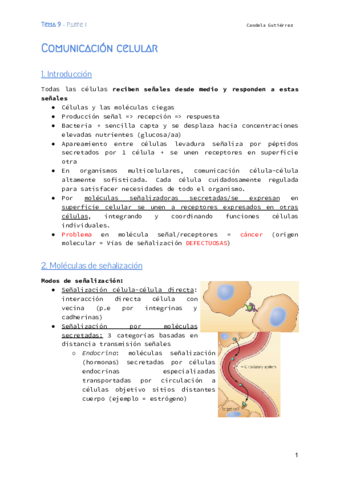 Biologia-Molecular-Tema-9-Pt.pdf