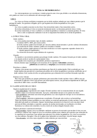 Bloque-4-VIRUS.pdf