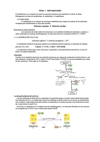 Bloque-2-METABOLISMO.pdf