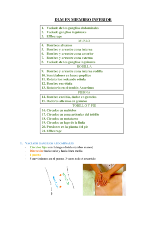 SECUENCIA-DRENAJE-MMII.pdf