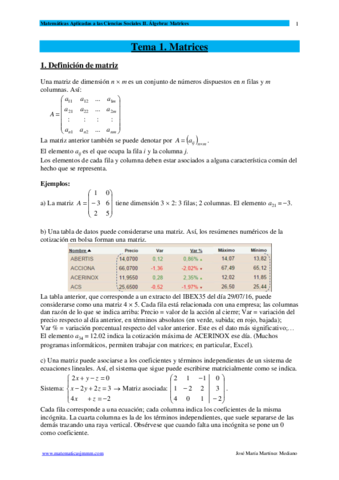 Matrices teoría